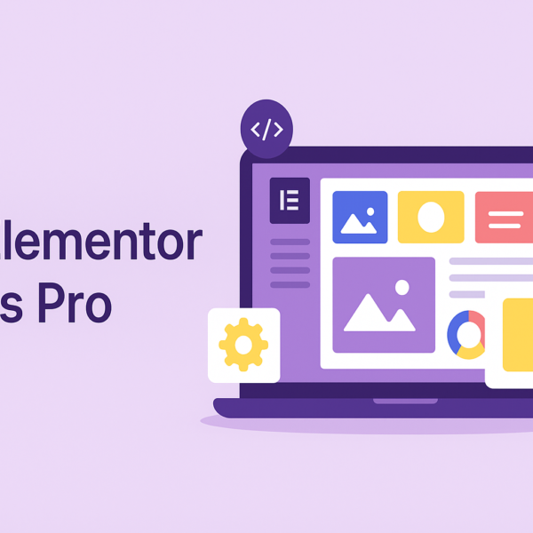 Droit elementer addons pro
